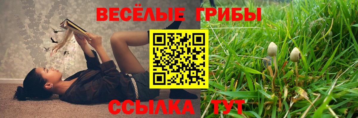Галлюциногенные грибы мухоморы Асино