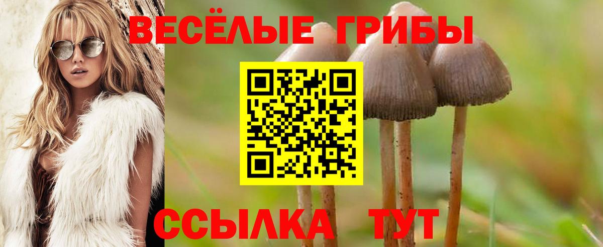 Галлюциногенные грибы Psilocybine cubensis  Вход с VPN  Асино 